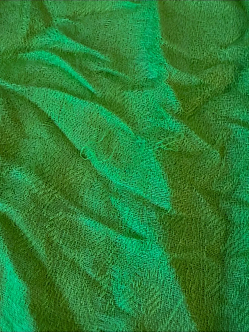 Lightweight Pashmina & Silk Green Fringe Scarf #148